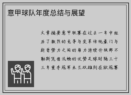意甲球队年度总结与展望