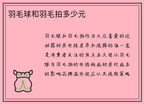 羽毛球和羽毛拍多少元